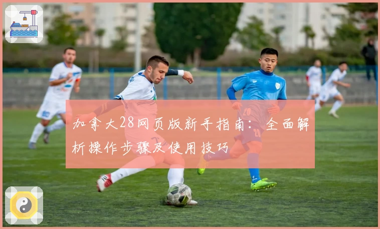 加拿大28网页版新手指南：全面解析操作步骤及使用技巧