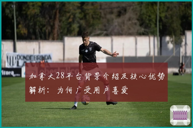 加拿大28平台背景介绍及核心优势解析：为何广受用户喜爱