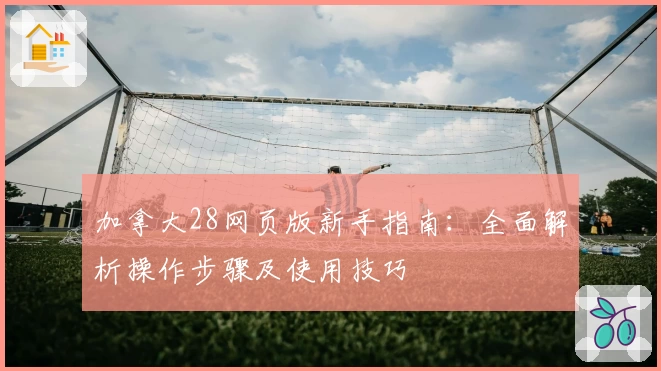 加拿大28网页版新手指南：全面解析操作步骤及使用技巧