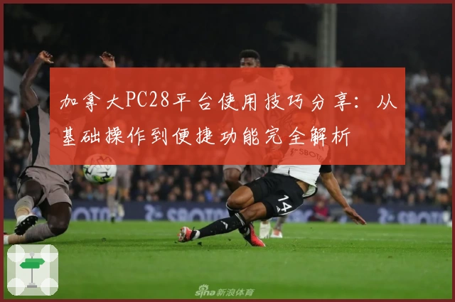 加拿大PC28平台使用技巧分享：从基础操作到便捷功能完全解析