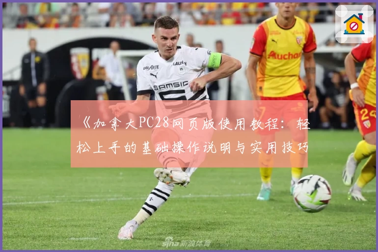 《加拿大PC28网页版使用教程：轻松上手的基础操作说明与实用技巧分享》