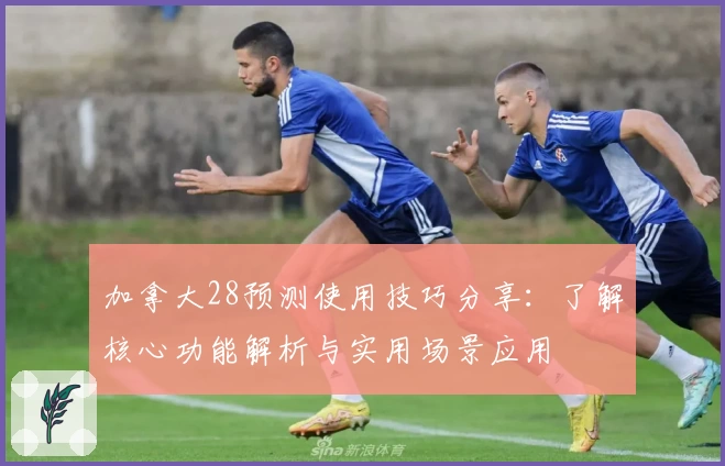 加拿大28预测使用技巧分享：了解核心功能解析与实用场景应用