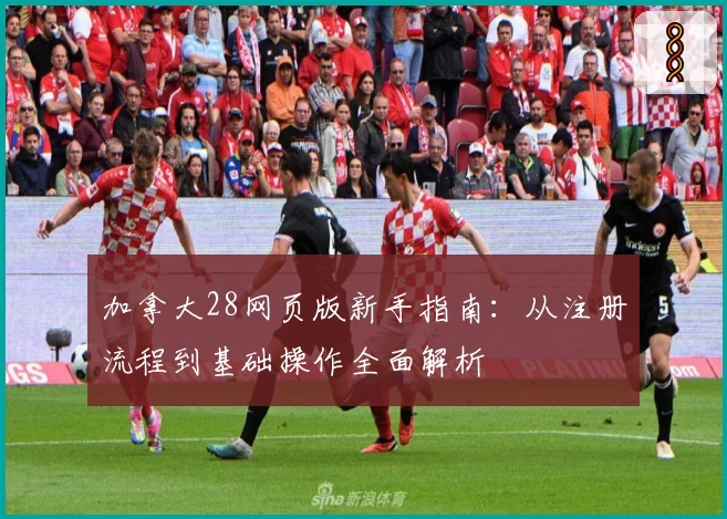 加拿大28网页版新手指南：从注册流程到基础操作全面解析