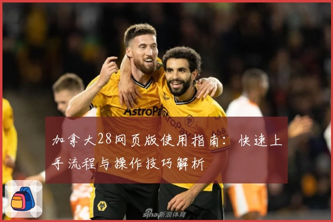 加拿大28网页版使用指南：快速上手流程与操作技巧解析