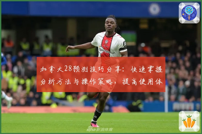 加拿大28预测技巧分享：快速掌握分析方法与操作策略，提高使用体验