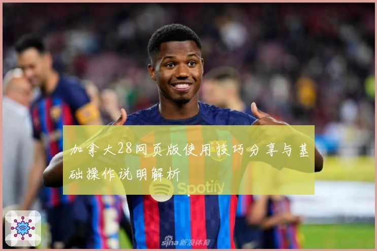 加拿大28网页版使用技巧分享与基础操作说明解析