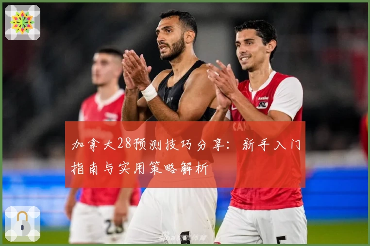 加拿大28预测技巧分享:新手入门指南与实用策略解析