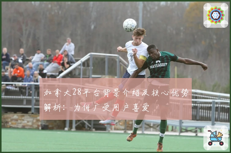 加拿大28平台背景介绍及核心优势解析：为何广受用户喜爱