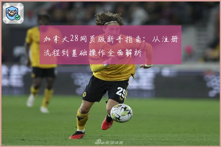 加拿大28网页版新手指南:从注册流程到基础操作全面解析